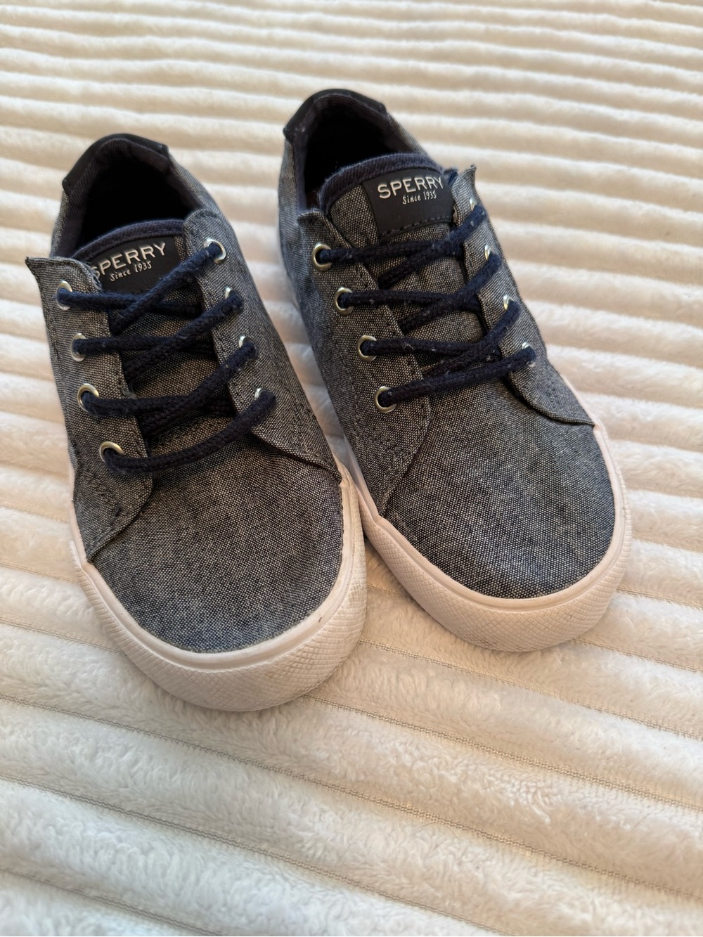 Sperry Navy Canvas Low-Top Sneakers